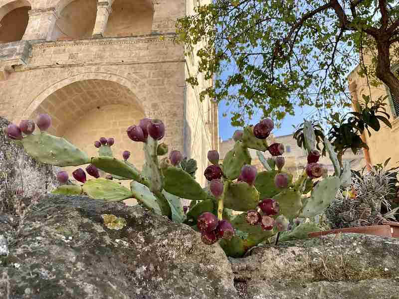 Matera